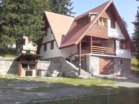 Casa vacanta Fulg de nea Păltiniș