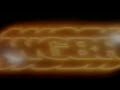 REQUESTED WGBH Boston Logo With Zoom TV Simulation