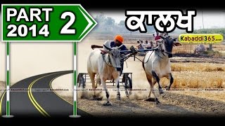 Ox Race Kalakh Part 2