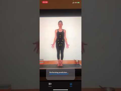 Live Recognizer Preview