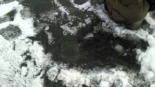 Парашют зимняя снасть как сделать
