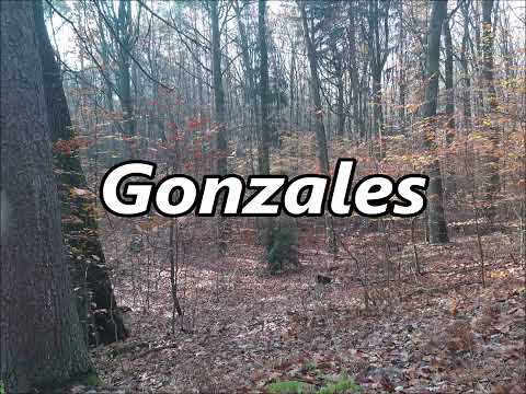 GONZALES as a family name   its meaning and origin