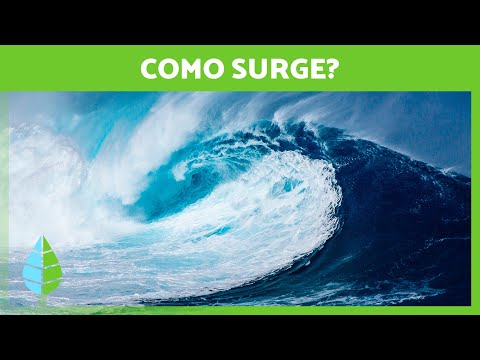 Como se forma um TSUNAMI? 🌊 (Definição e Fases)