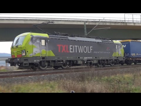 ATLU/TXLogistik 193 554 Leitwolf mit Padborger durchfährt Niederweimar