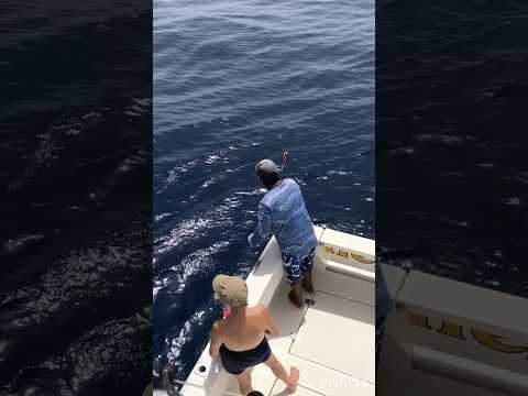 09/09 - Catch & Release Blue Marlin! - Cavalier & Blue Marlin Sport Fishing Gran Canaria