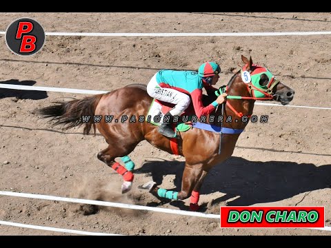 DON CHARO: COPA PRODUCTOS NACIONALES - HIPODROMO ILUSION DE VERA, SANTA FE (06-0-2025)