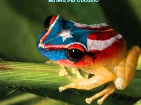 dj fozzy latin house