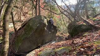 SSK   幻獣ガタゴン  初段・赤不動　初/二段