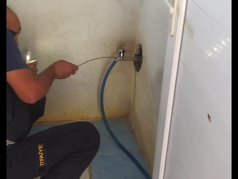 Eve giren yılan paniğe neden oldu