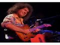 Pat Metheny Above the Tree Tops Live