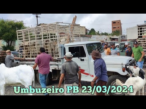 FEIRA DE ANIMAIS DE UMBUZEIRO PARAÍBA 23/03/2024