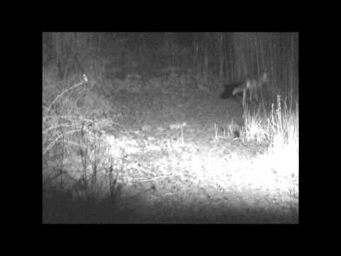 Film des Monats Mai 2012