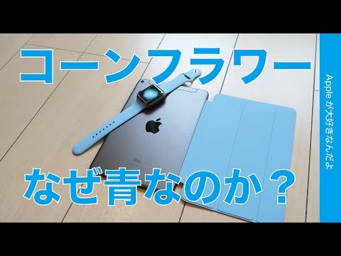 黄色のコーンフラワー 植物