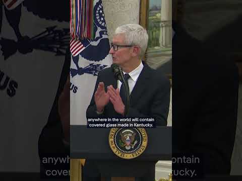 The exception to Trump's circa 100% tariffs on semiconductors | DW News