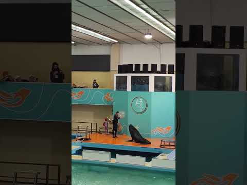 25 апреля 2026 г.