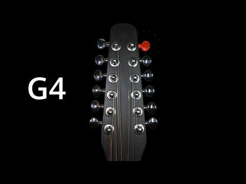 Tune Your 12 String Guitar [Easy Way]