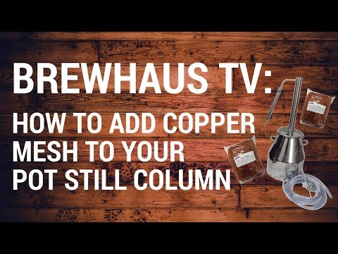 download lagu mp3 mp4 Brewhaus Canada, download lagu Brewhaus Canada gratis, unduh video klip Brewhaus Canada