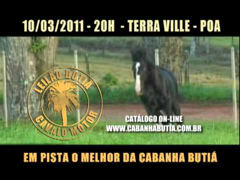 VT LEILAO BUTIA 2011   15s