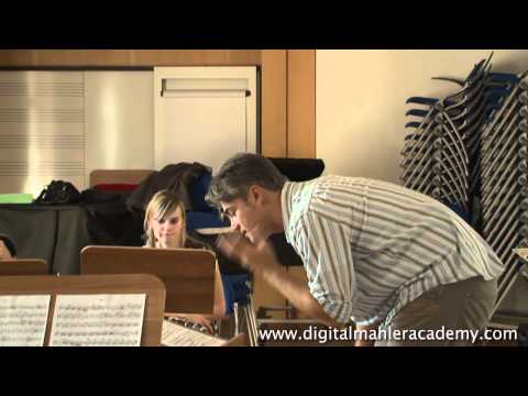 Postinghel - Dvorak Serenade lesson (CLIP part 2).mp4