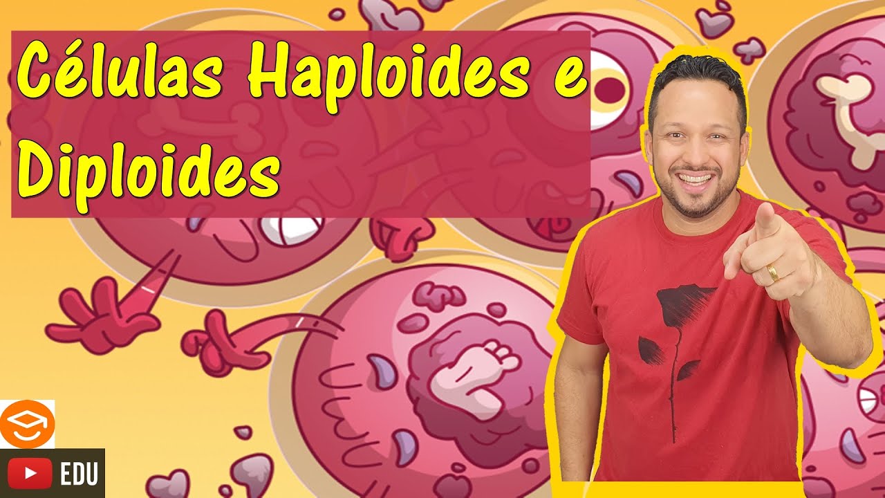 Células Haploides (n) e Células Diploides (2n) - Classificação das células - Citologia