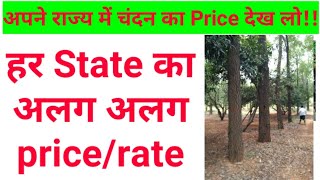 Sandalwood cost in India!अपने राज्य में चंदन की कीमत जान लो! चंदन की खेती से पहले इसका Rate जान लो।