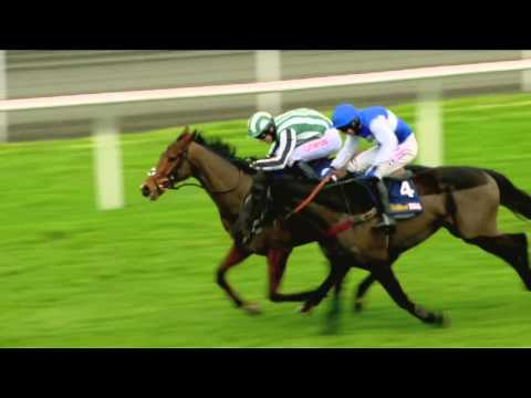 William Hill Winter Festival - Racing TV