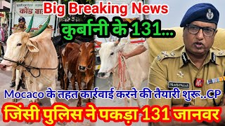 Download lagu औरंगाबाद..Jinsi Police का बड़ा ऑपरेशन 131 बैल बरामद घर-घर छापेमारी में जिंसी पुलिस के हाथ लगे जानवर mp3
