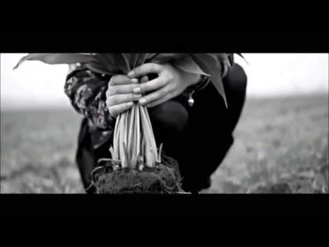 Miuosh - Szczury feat. Bisz remix   (ck-m)