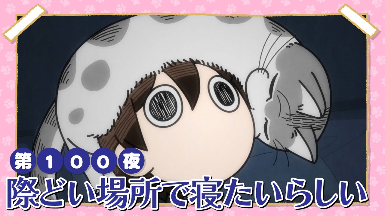 アニメ『夜は猫といっしょ』第100夜「際どい場所で寝たいらしい」