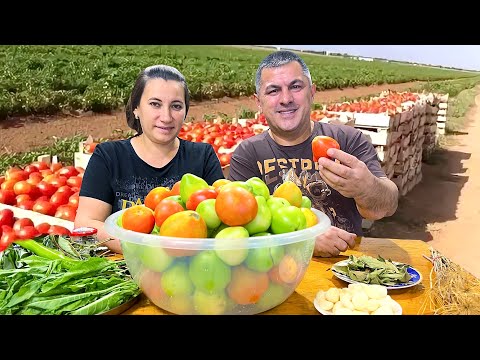 Barrel-pickled tomatoes – the best recipe! Delicious just like grandma's!