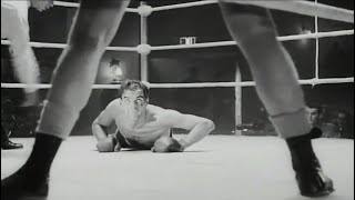 Morrissey - Boxers (Unofficial Video)