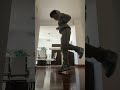 Krabby Step Music Spongebob Lilmosey