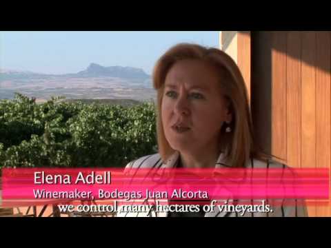 download lagu mp3 mp4 Rioja Labels, download lagu Rioja Labels gratis, unduh video klip Rioja Labels