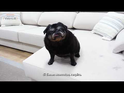 Vídeo