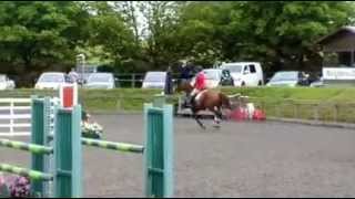 Video koně Balouetta