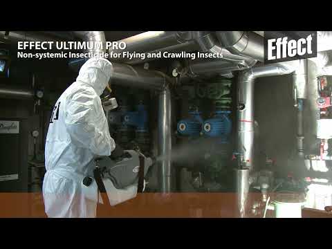 Ultimum Pro 25 мл – инсектициден концентрат за контрол на дървеници