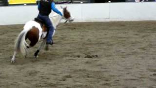 Clinton Anderson and Taz