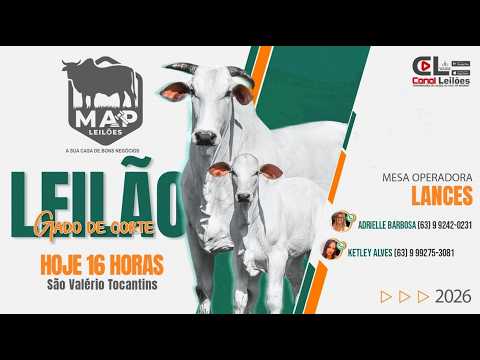 LEILÃO ESPECIAL DE GADO DE CORTE - MAP LEILÕES | SÃO VALÉRIO-TO 27/07/2026
