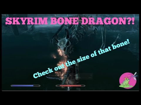 Crazy Skeleton Dragon in SKYRIM?!  UNKILLABLE? GLITCH?!