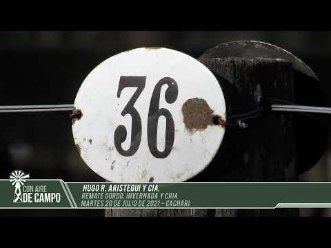 Resumen del remate de Hugo R. Aristegui - Martes 20 de julio de 2021 - Cacharí