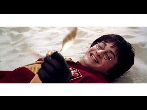 DAJWERS - Harry Potter (REMIX) VIDEO / BLACK JACK MIXTAPE
