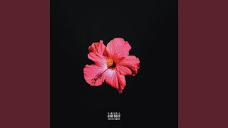 FIJI Music Video