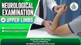 Neurological Examination of Upper Limbs
