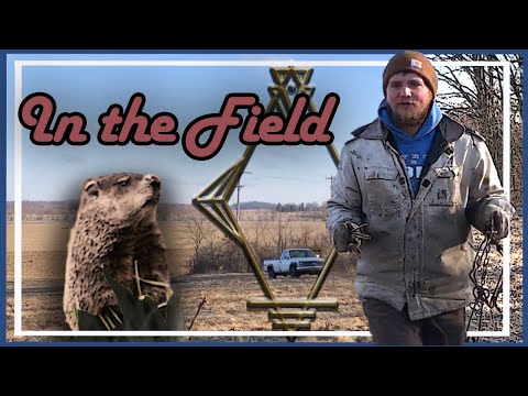 Woodchuck Trapping | In the Field