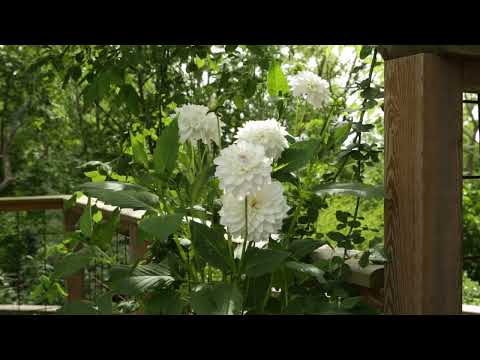 Sommarhälsning 2022