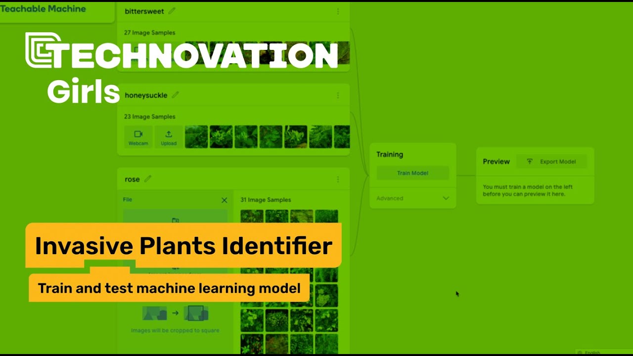 Part 2: Train and test a machine learning model