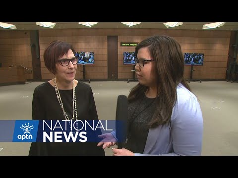 Cindy Blackstock reaction to budget 2019 | APTN News