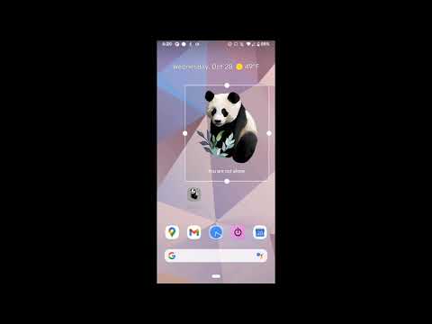 Panda Encouragement Video