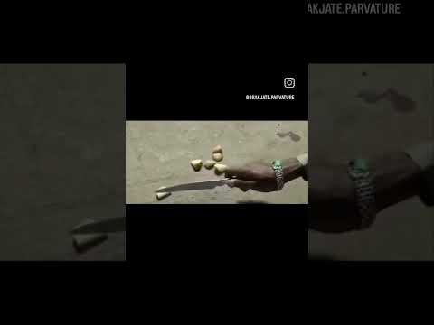 ParvaTV vídeo 24