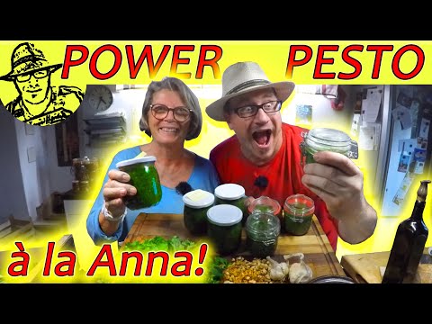 Das beste Pesto der Welt - große Mengen Petersilie schnell und einfach verarbeiten.